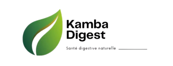 kambadigest.Store 