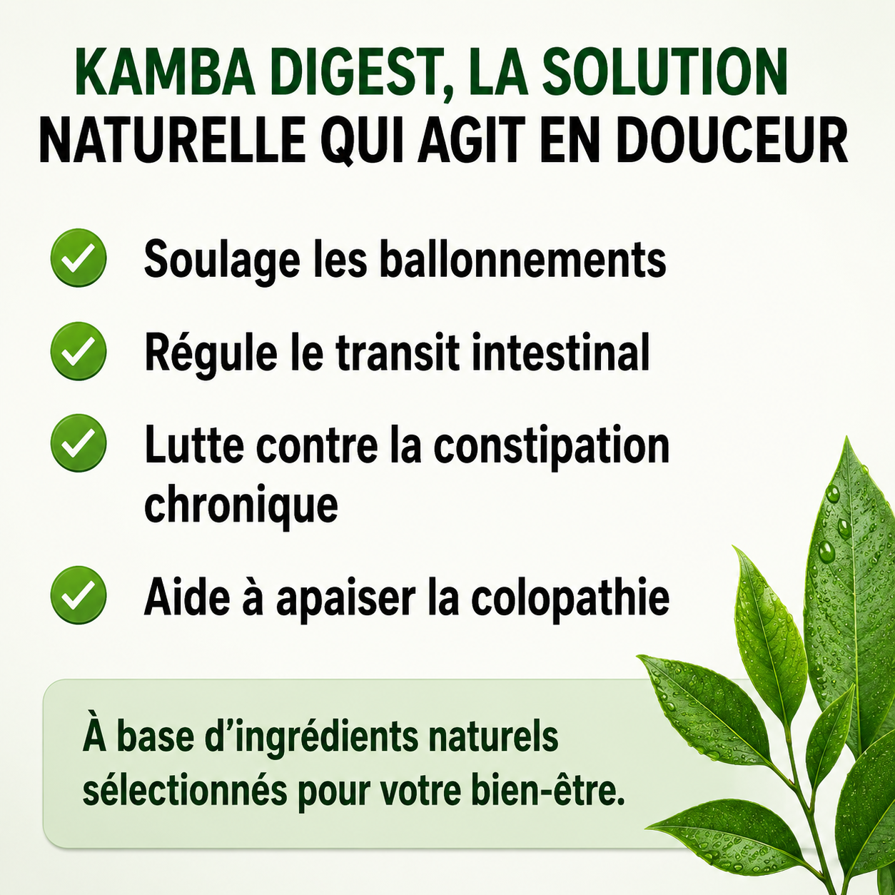 KAMBA DIGEST™ | Résout les problèmes de ballonnement de ventre, colopathie  Digestif & Naturel