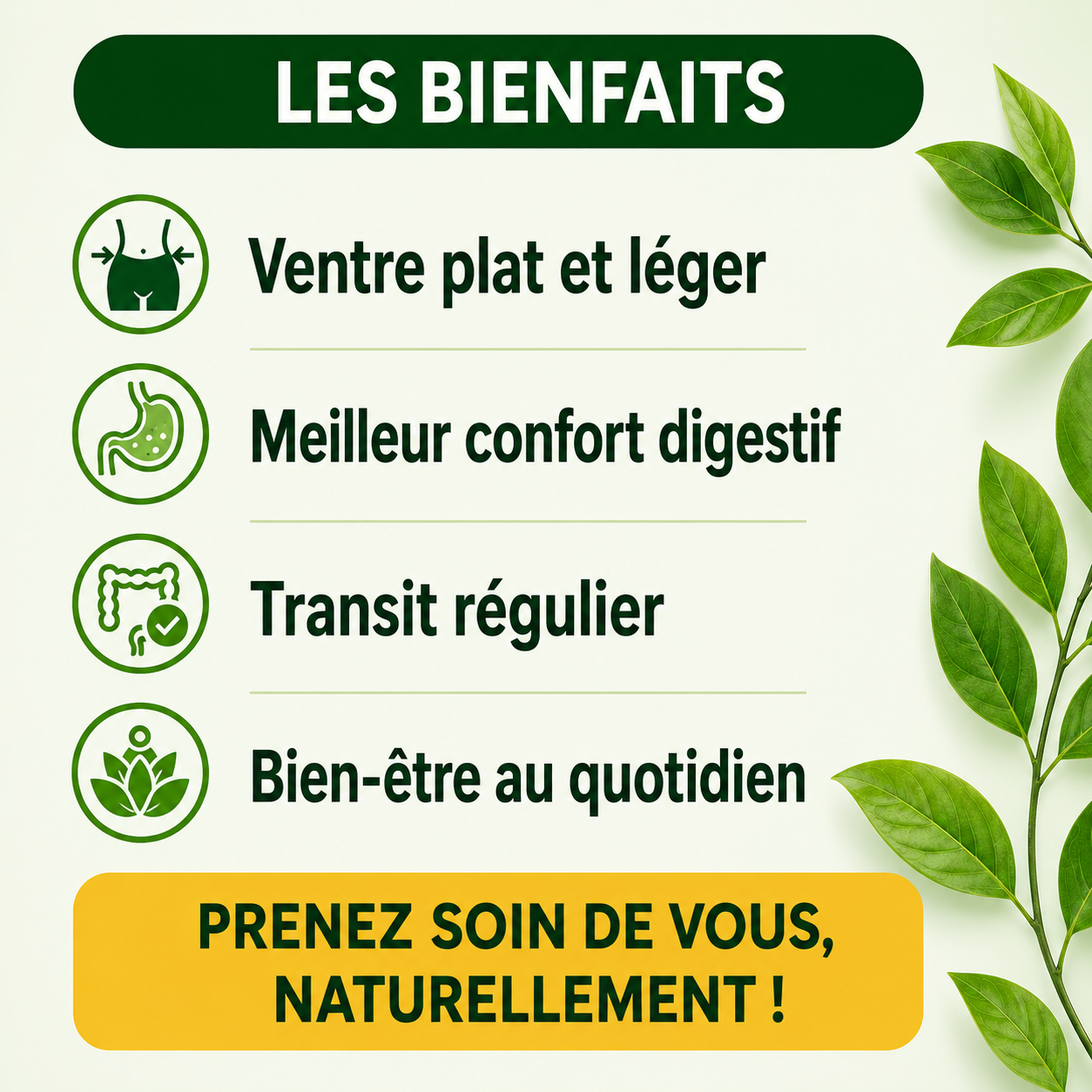 KAMBA DIGEST™ | Résout les problèmes de ballonnement de ventre, colopathie  Digestif & Naturel
